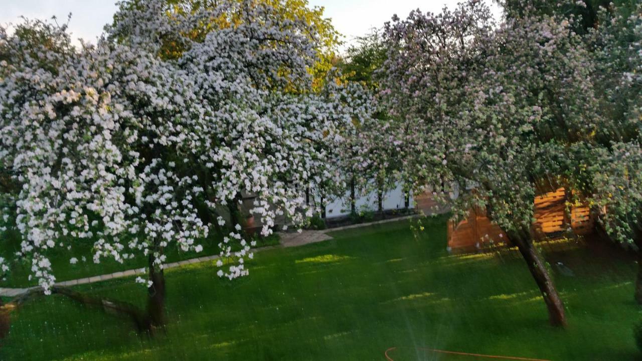 Ferienhaus Gregor Birkenwerder Exteriér fotografie